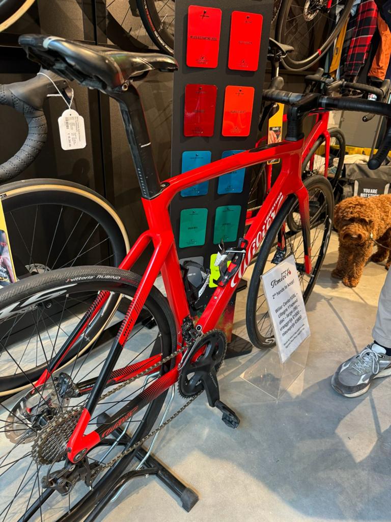 Wilier Cento10SL Ultegra Disc – maat 56, Ophalen, Zo goed als nieuw, Carbon