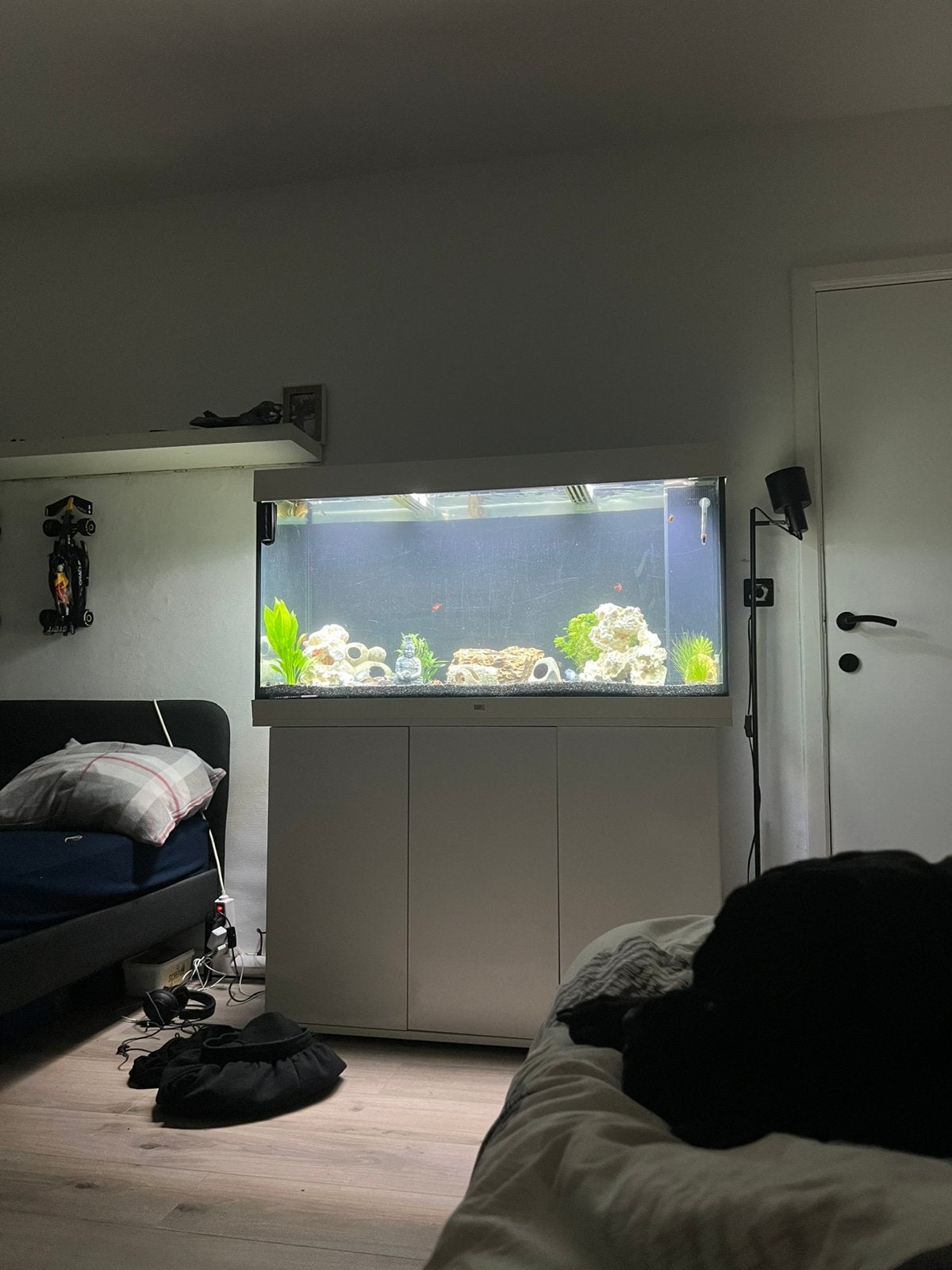 Juwel 240 aquarium, Dieren en Toebehoren, Ophalen, Inclusief deksel, Zo goed als nieuw, Juwel