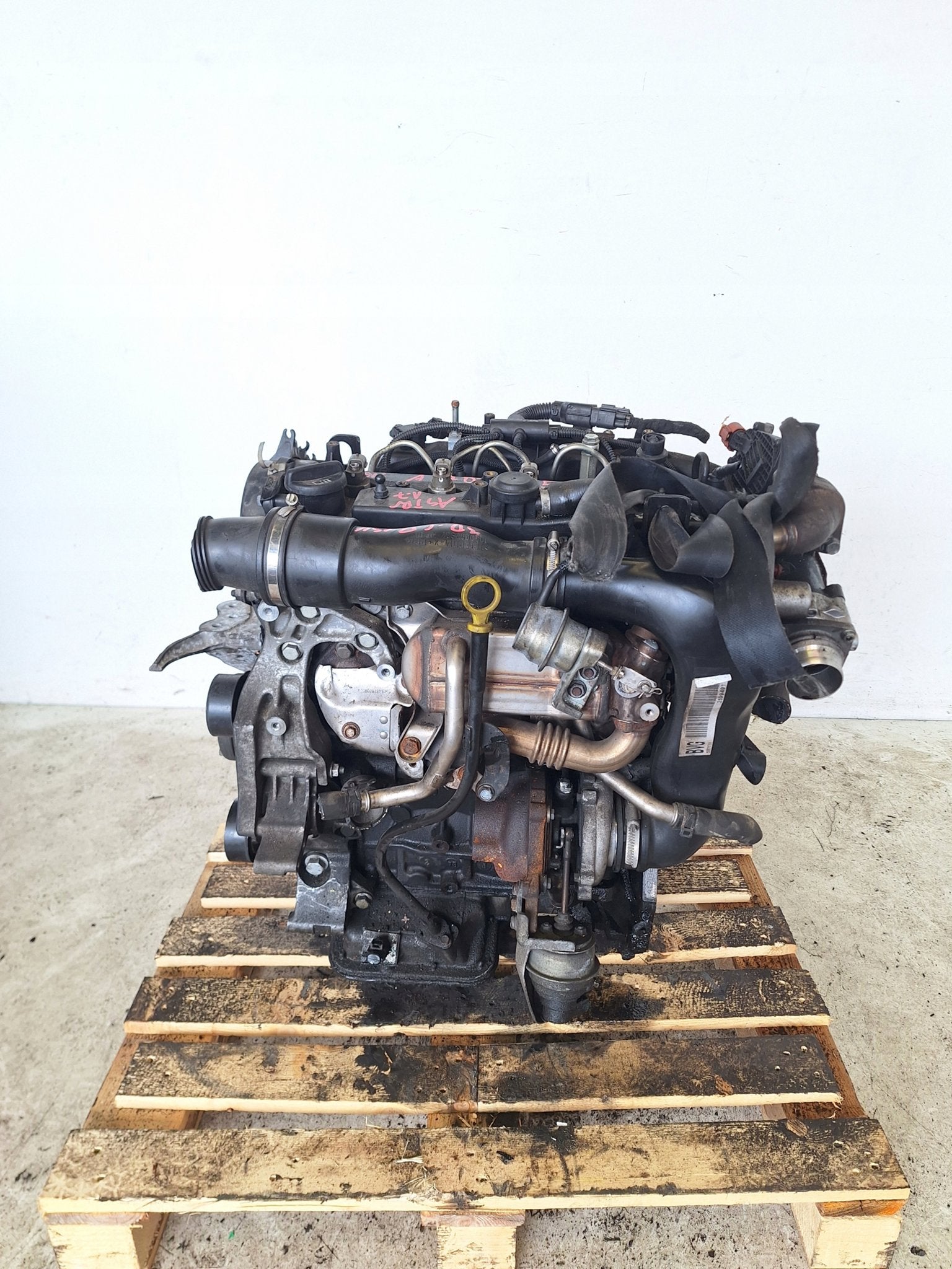 Moteur A17DTE Complet OPEL ASTRA