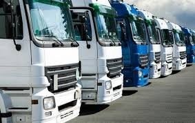 licence de transport (national ou international).