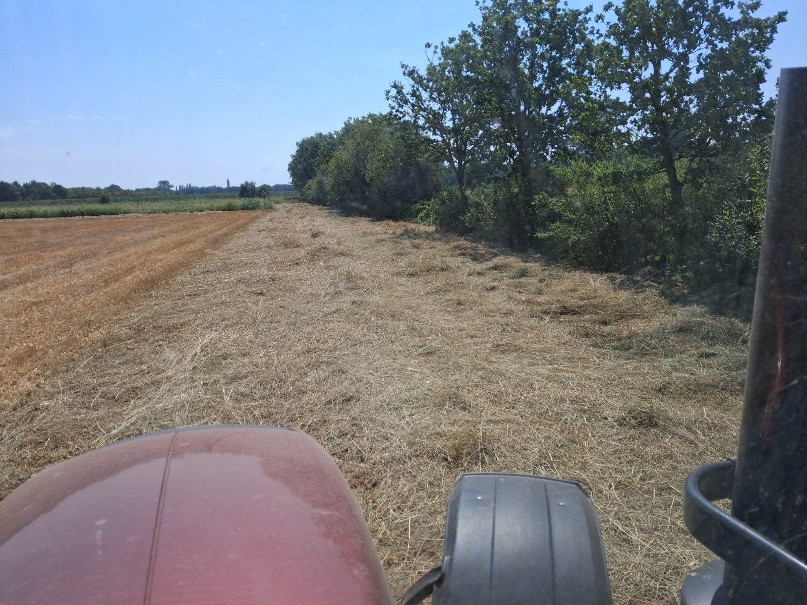 40 Kleine pakjes hooi, Enlèvement