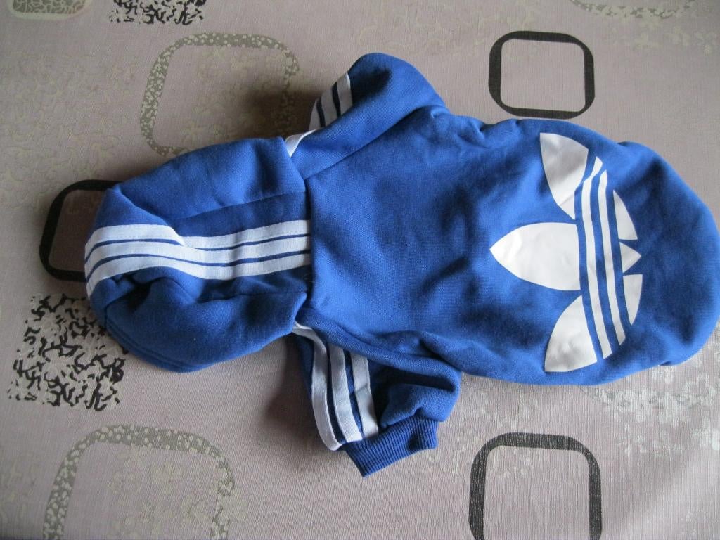 hondjasje, Animaux & Accessoires, Vêtements pour chiens, Enlèvement, Neuf, Manteau pour chien