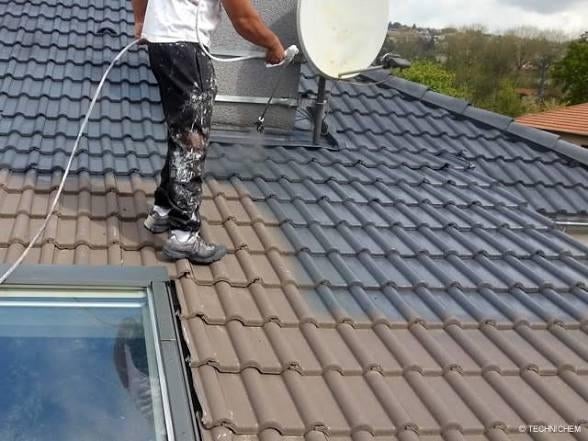 Nettoyage et peinture tout type de toiture, Enlèvement ou Envoi