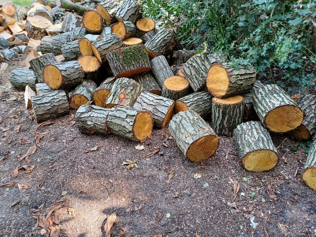 Goedkoop openhaardhout vanaf 50 euro per m3, 6 m³ of meer, Ophalen, Berkenhout, Stammen