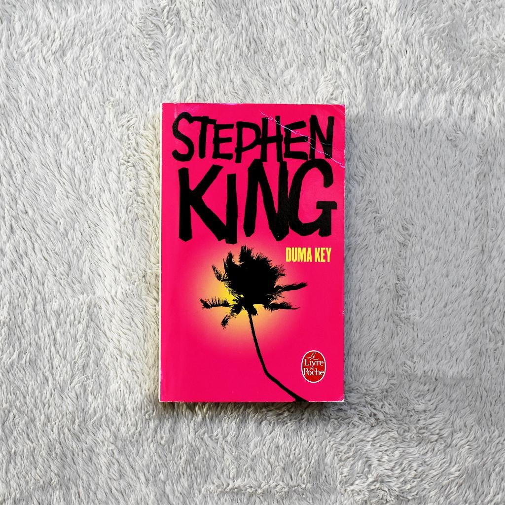 Duma Key - Stephen King - Livre de Poche, Livres, STEPHEN KING, Enlèvement, Utilisé, Amérique