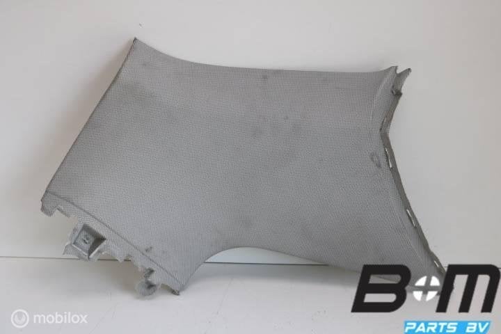 D - stijl bekleding links Audi A3 8P SB 8P4867245, Gebruikt