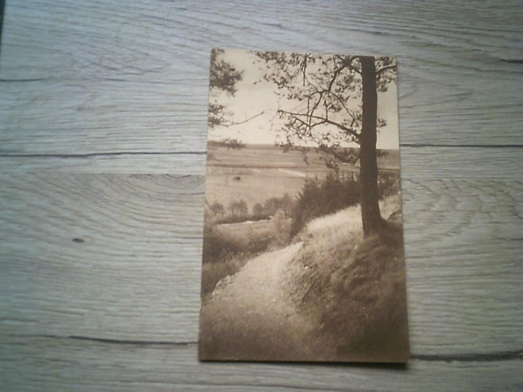 AMBERLOUP: Institut Ste Ode - Le sentier conduisant, Enlèvement ou Envoi, Avant 1920, Affranchie, Luxembourg
