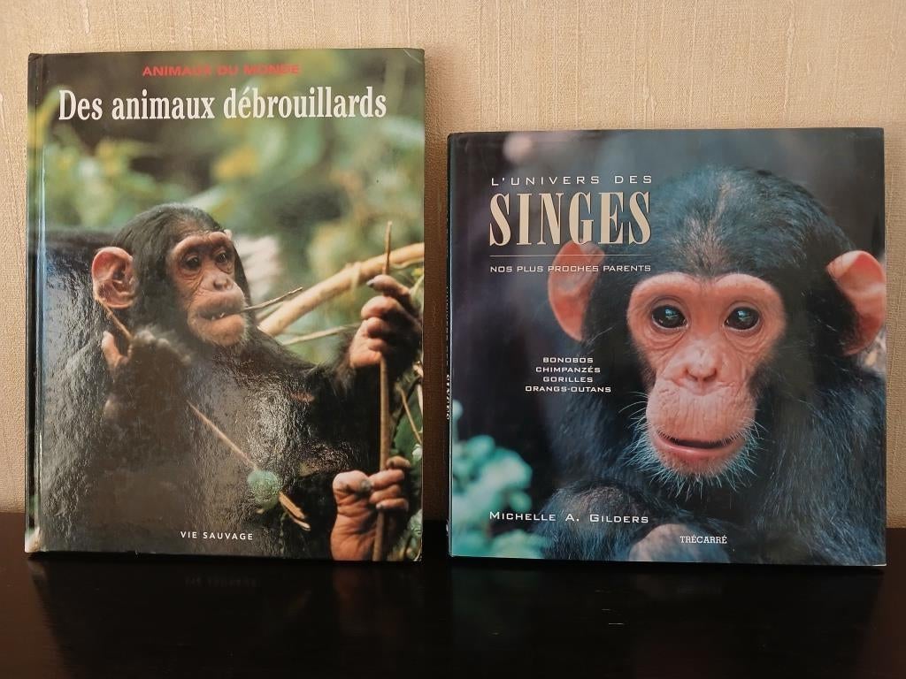 Natuurboeken voor jongeren - Te vertellen vanaf 4 jaar!, Ophalen, Gelezen, Overige onderwerpen, Divers