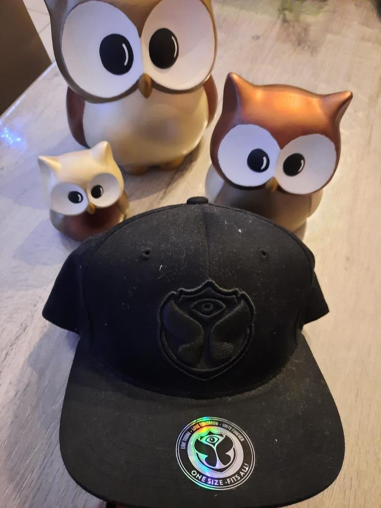 Official pet Tomorrowland TML, Ophalen of Verzenden, Pet