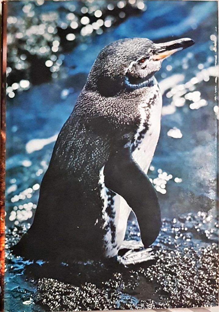Artis-Historia: Zoo Galapagos 1974: compleet: met jas, Boeken, Ophalen of Verzenden, Zo goed als nieuw, Plaatjesalbum