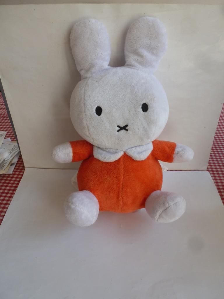 Nijntje  knuffel/ rugzakje, Enfants & Bébés, Jouets | Peluches, Enlèvement ou Envoi, Comme neuf, Grenouille