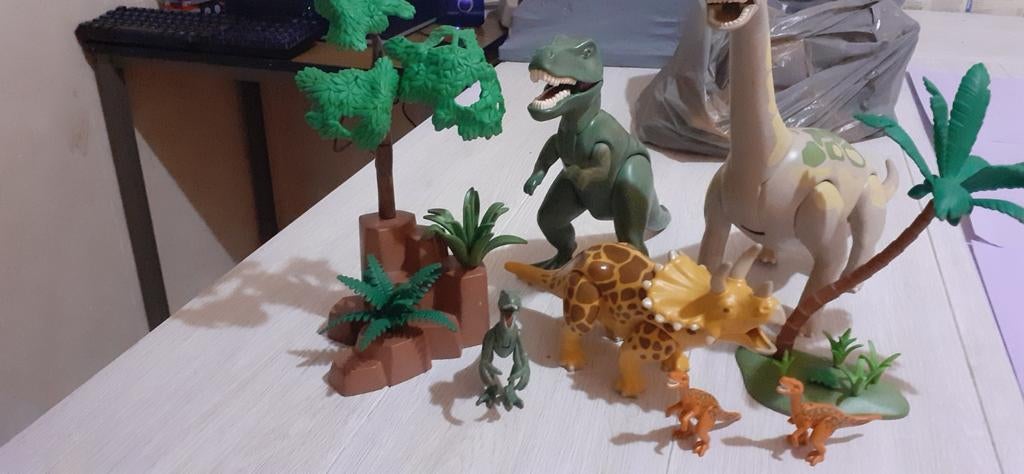 Dinoos playmobil, Ophalen of Verzenden