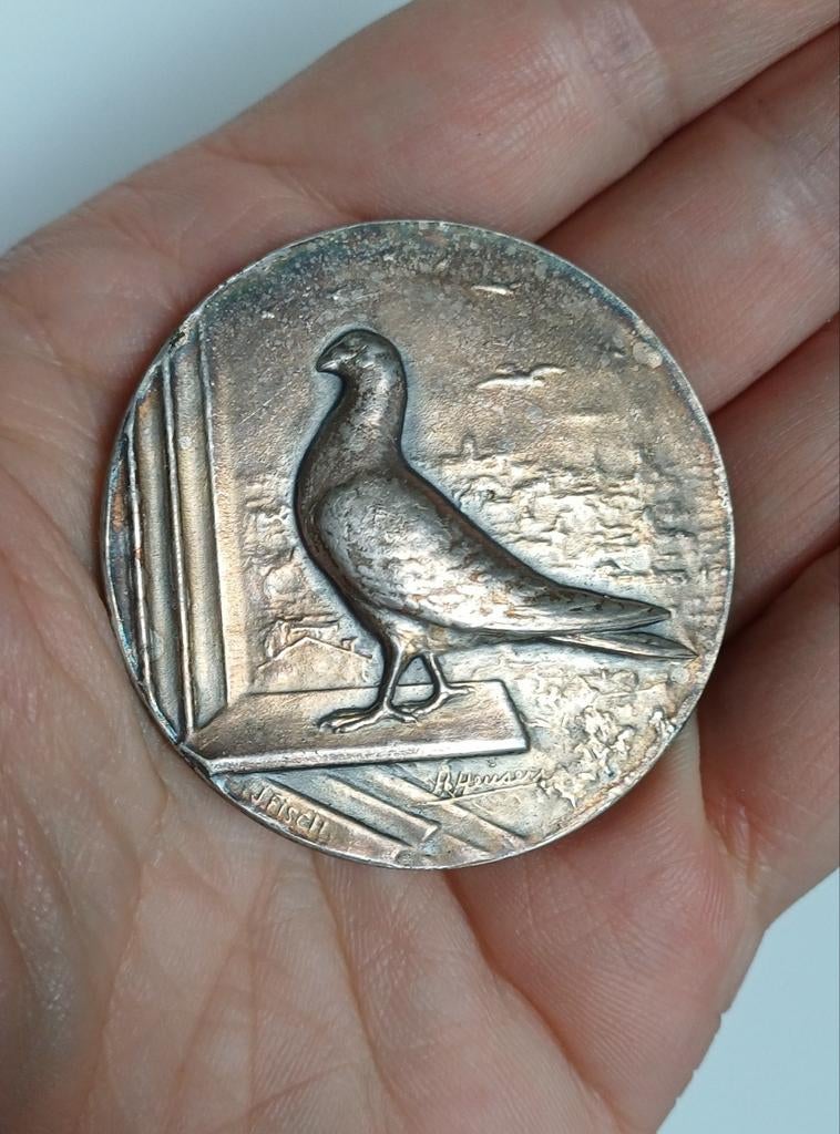 Zilveren médaille ledeberg duiven, Ophalen of Verzenden, Zo goed als nieuw, Zilver, Zilver