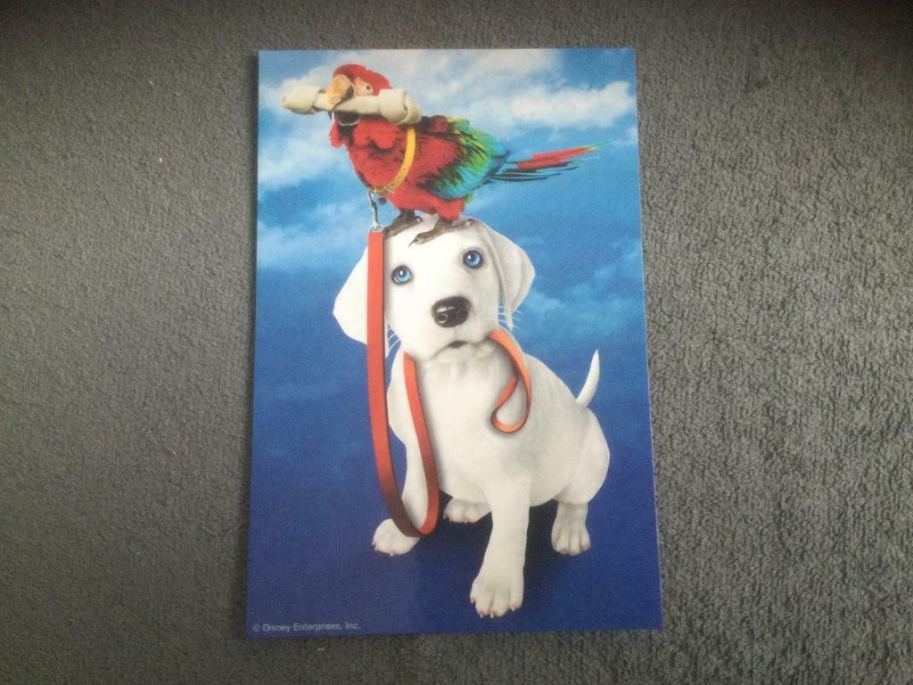 Kaart Postkaart Disney 102 echte Dalmatiërs, Ophalen of Verzenden, Zo goed als nieuw