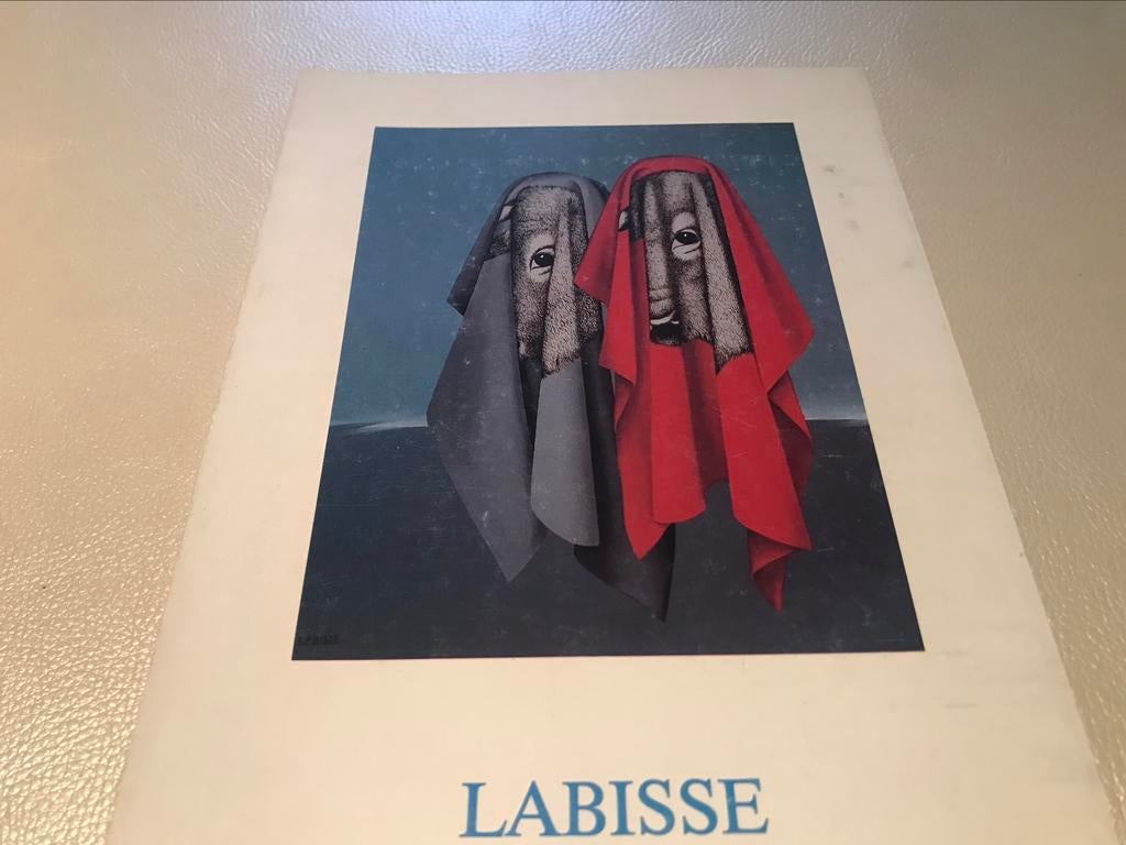 Felix Labisse peintures 40pag, Boeken, Ophalen of Verzenden, Zo goed als nieuw, Schilder- en Tekenkunst