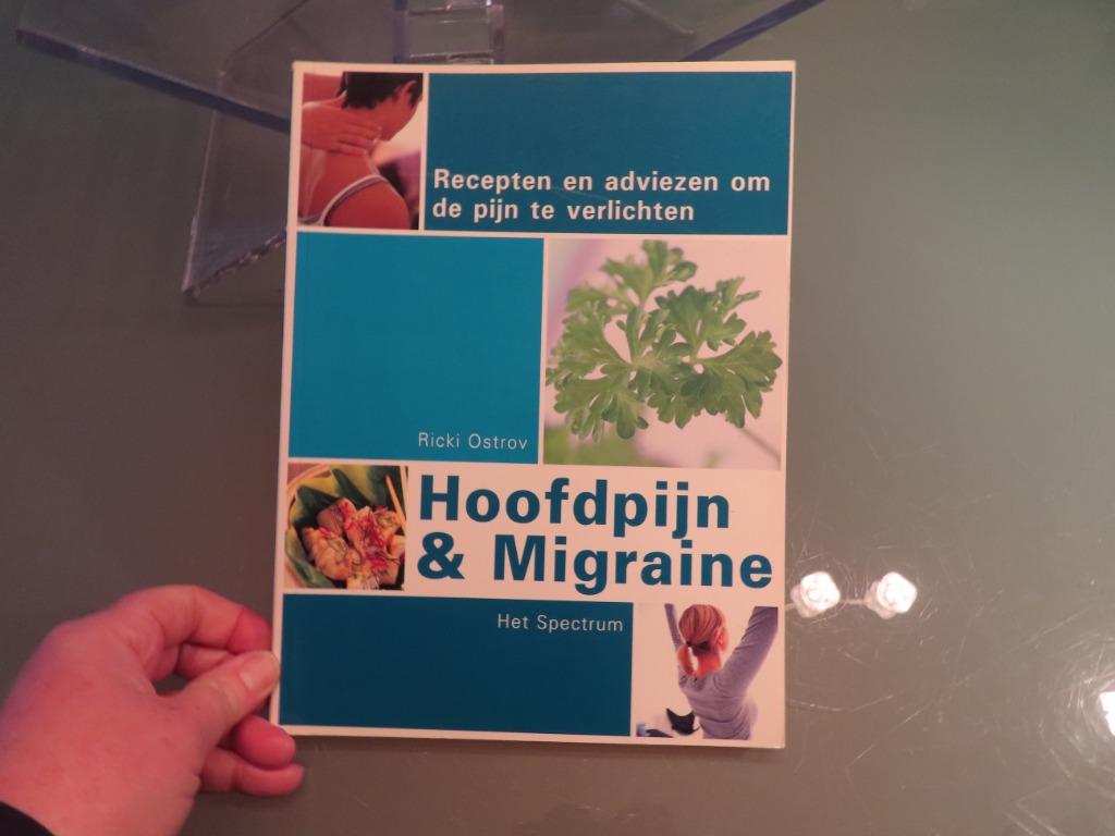 Hoofdpijn & Migraine – Ricki Ostrov Recepten en adviezen om, Ricki Ostrov, Enlèvement ou Envoi, Comme neuf, Maladie et Allergie