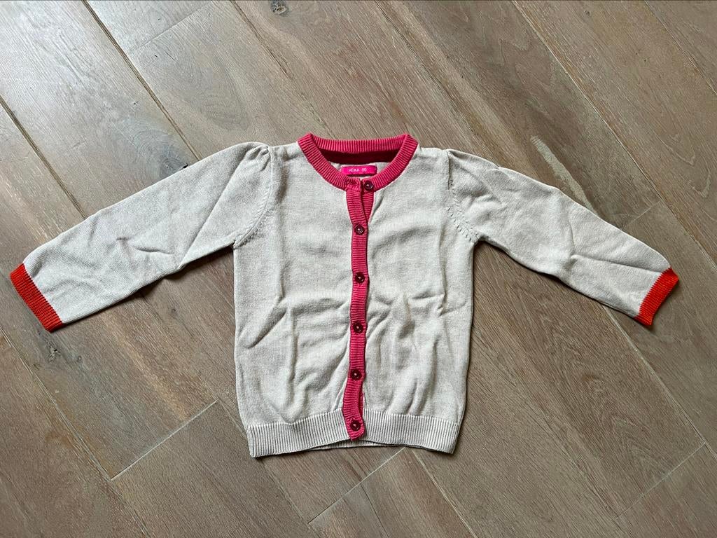 Trui / pull maat 86 van Hema, Ophalen of Verzenden, Zo goed als nieuw, Hema, Truitje of Vestje