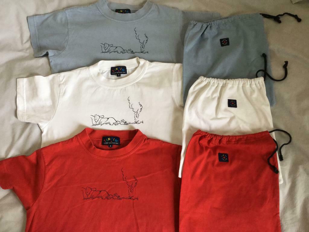 Tintin,Tshirt pour dormir avec sac,  8 a ou blanc 6 ans, Enfants & Bébés, Enlèvement ou Envoi, Garçon ou Fille, Vêtements de nuit ou Sous-vêtements