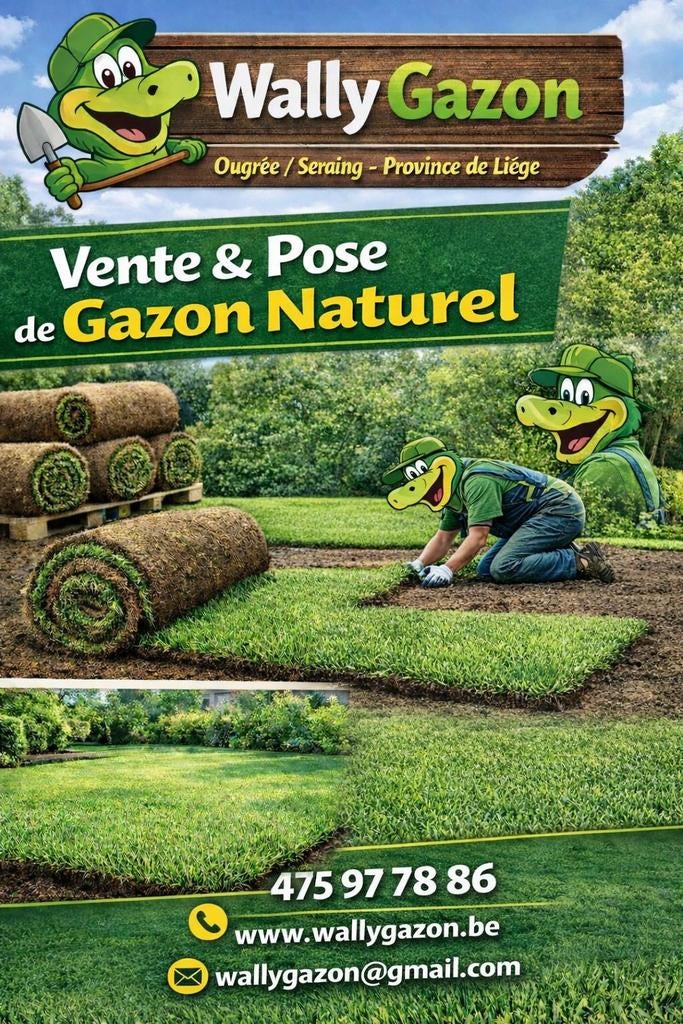 Gazon naturel en rouleaux