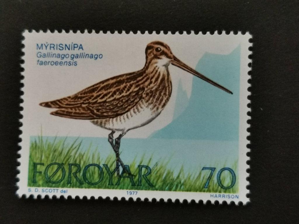 Îles Féroé/Foroyar 1977 - oiseaux - Bécassine des marais **, Timbres & Monnaies, Timbres | Europe | Scandinavie, Enlèvement ou Envoi