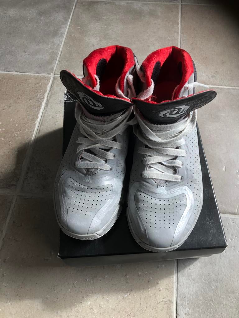 Basketschoenen maat 40, Sport en Fitness, Basketbal, Ophalen of Verzenden, Gebruikt, Schoenen