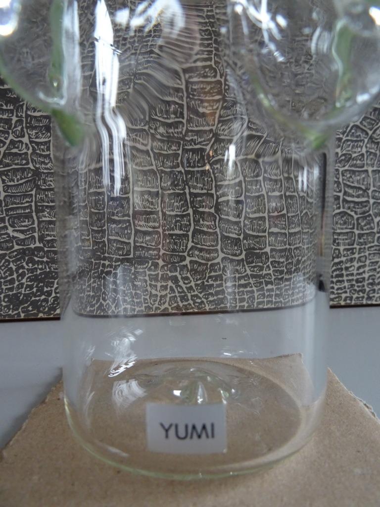 Art du verre Yumi Ming Hou Chen Yumi verre Yumi verre à thé, Antiquités & Art, Enlèvement ou Envoi
