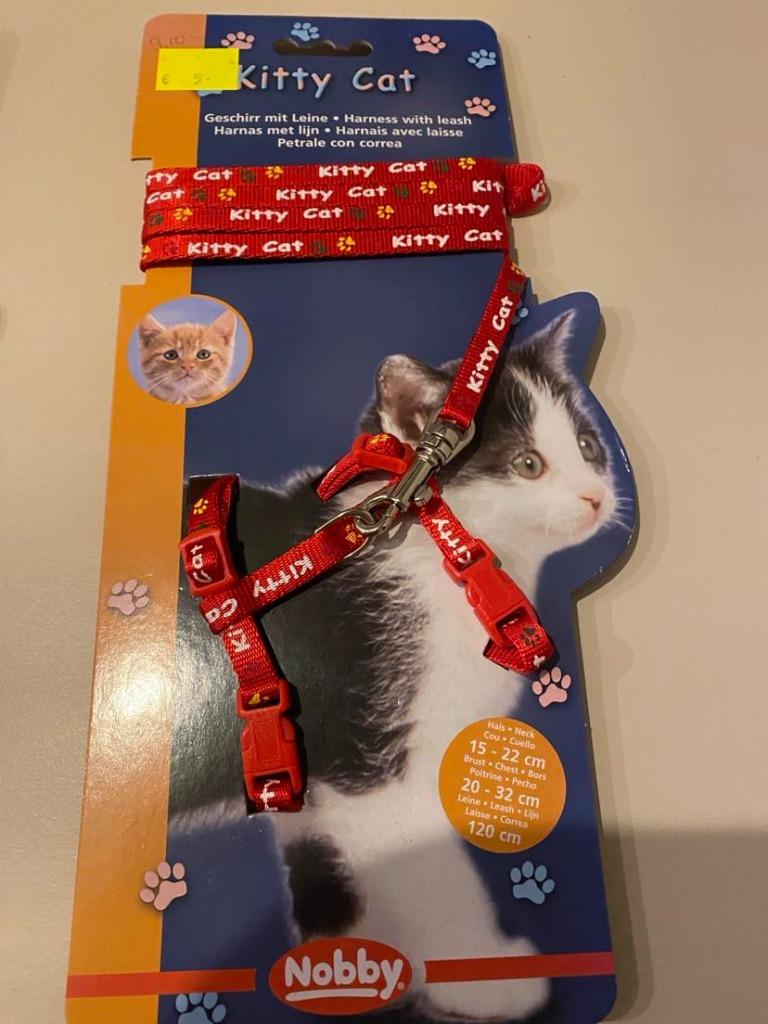 Harnasje + leiband voor kitten aan outletprijs., Dieren en Toebehoren, Ophalen of Verzenden, Nieuw