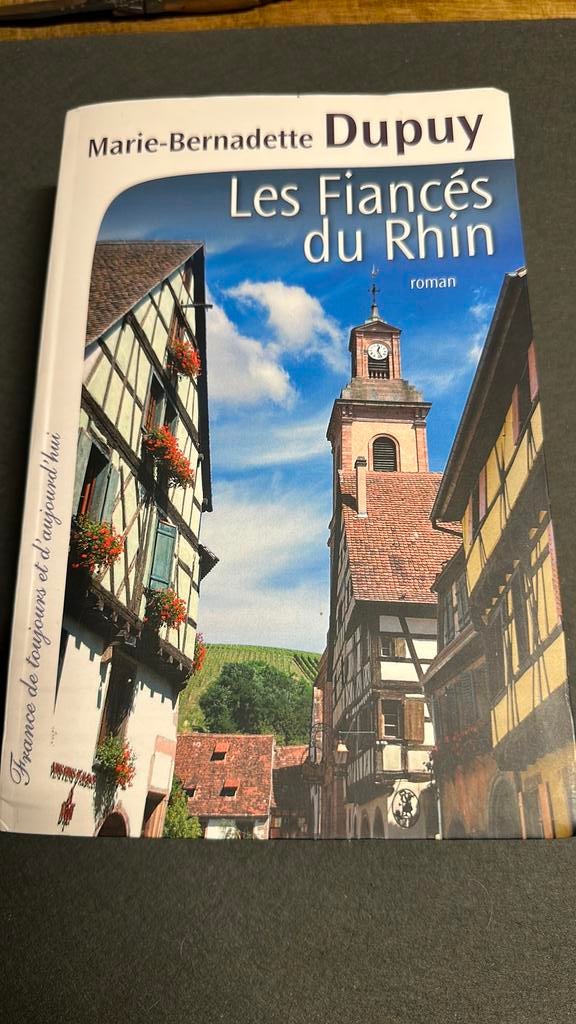Les fiancés du Rhin de Marie-Bernadette Dupuy, Livres, Romans, Enlèvement ou Envoi, Utilisé