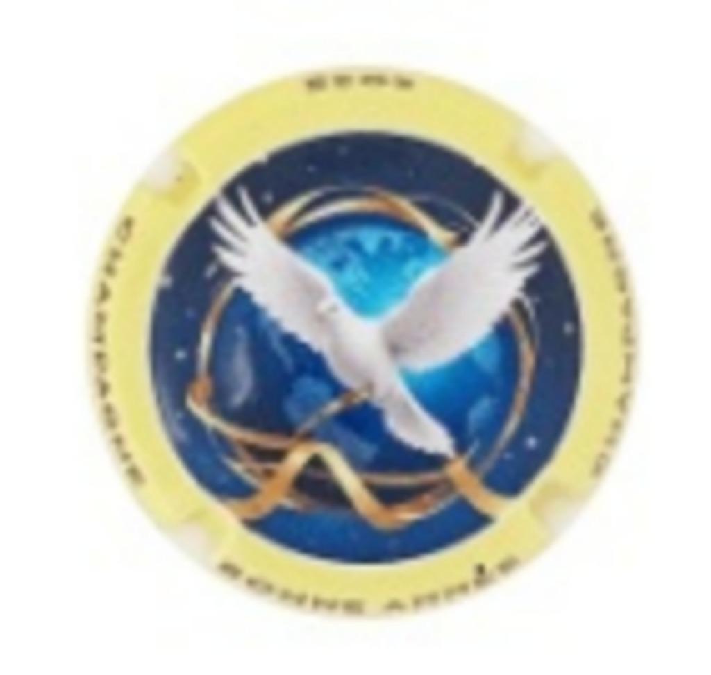 Champagne capsules - Generieken Bonne annee 2025 (G 1449e), Envoi