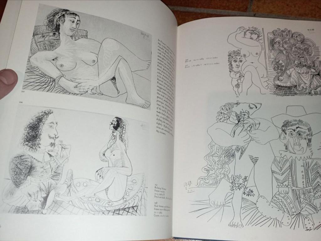 676) Picasso the heroic years (engels), Enlèvement ou Envoi, Comme neuf