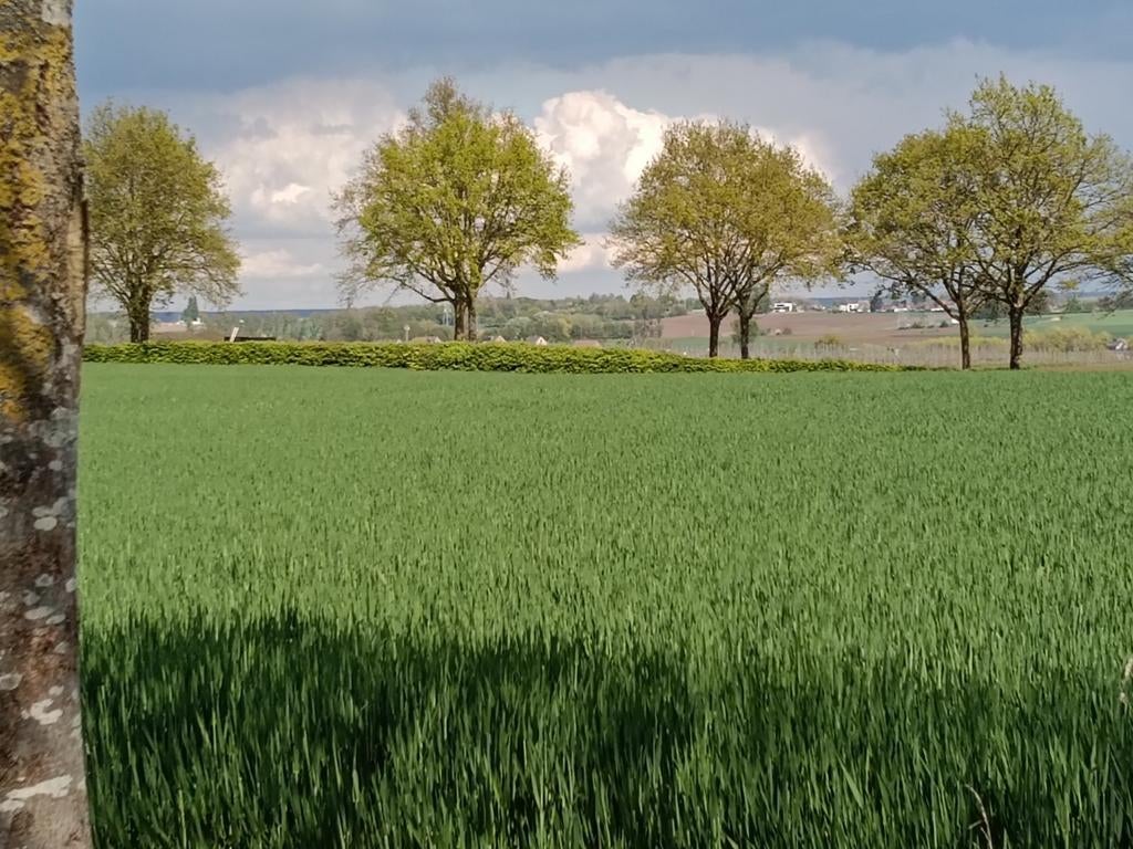 Vakantiehuis gezocht, Vakantie