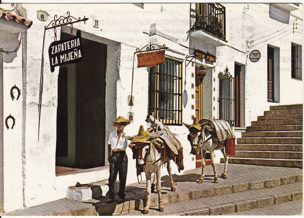 EZELS  TAXI  in  MIJAS  MALAGA, Collections, Cartes postales | Animaux, Envoi, Affranchie, Autres