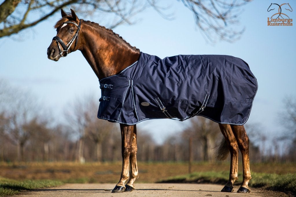 Profi-Rider Winterdeken Waterdicht 200g Navy 175 tm 215 SALE, Animaux & Accessoires, Bleu, Enlèvement ou Envoi, 200 g, Autres marques