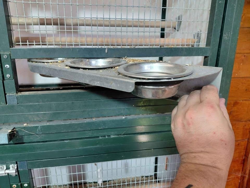 cages élevage perruches conures ou petits perroquets, Enlèvement ou Envoi, Utilisé