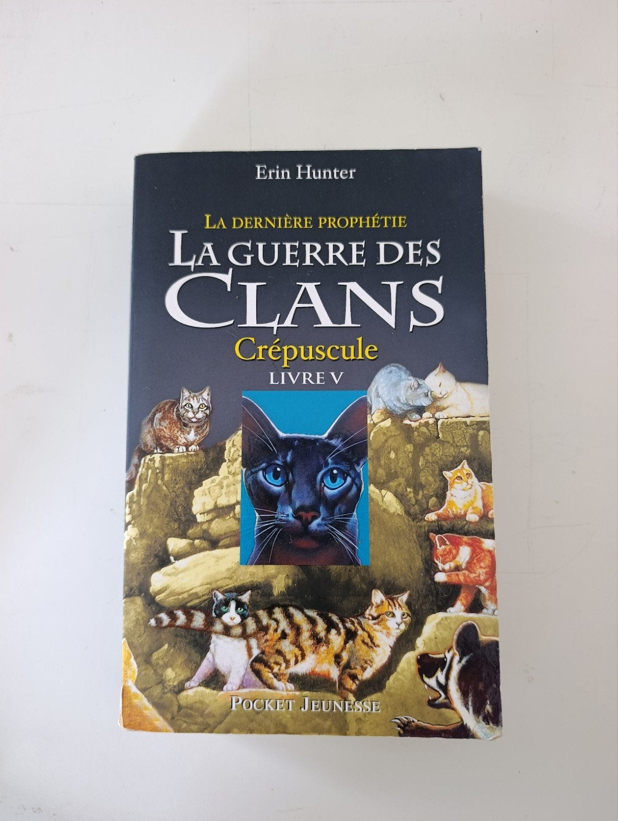9782266199643 De oorlog van de clans, schemering, boek V, Ophalen of Verzenden