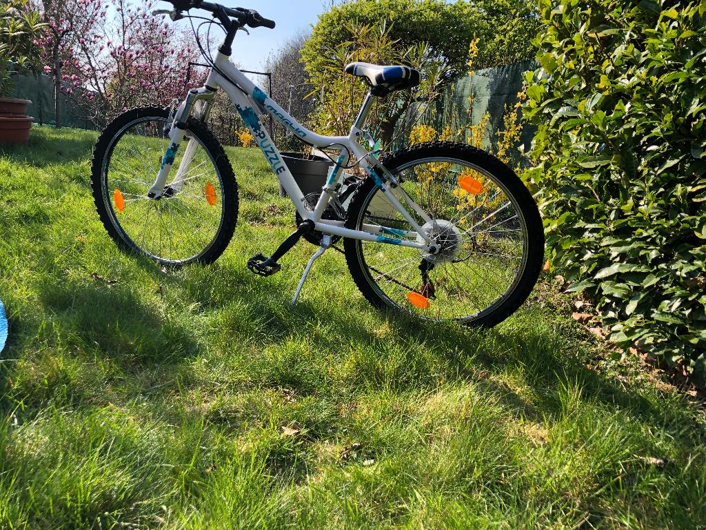 Vélo, Vélos & Vélomoteurs, Vélos | Femmes | Vélos de sport & de randonnée, Neuf, Autres marques, 10 à 15 vitesses, Enlèvement