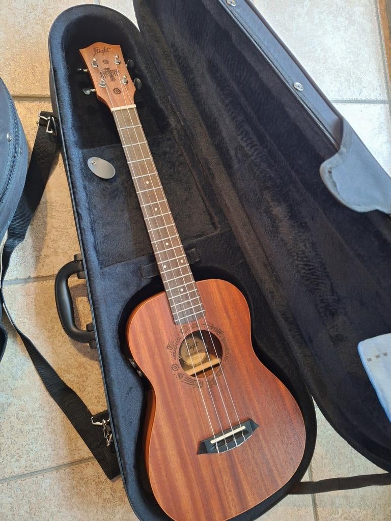 Ukelele met element, Musique & Instruments, Enlèvement