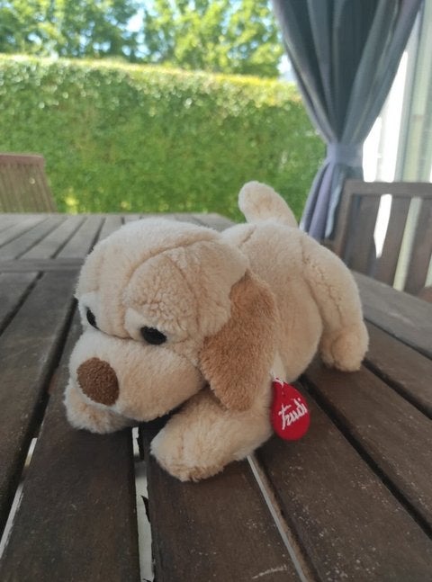 Trudi S.P.A hond Joe Lying down beertje teddy knuffel, Ophalen, Overige merken, Overige karakters, Hond