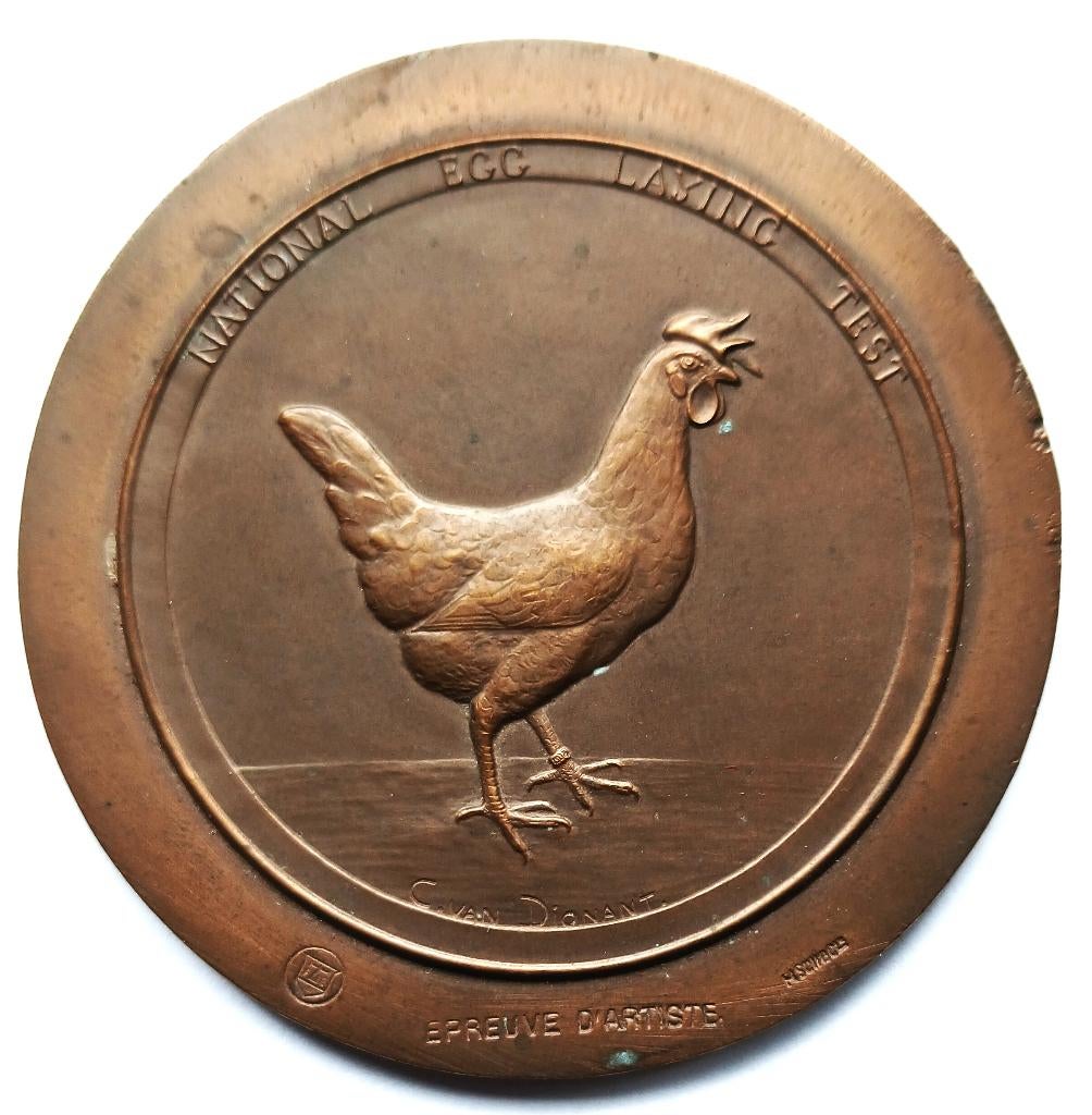 medaille Van DIONANT British award National egg laying test, Ophalen of Verzenden, Brons