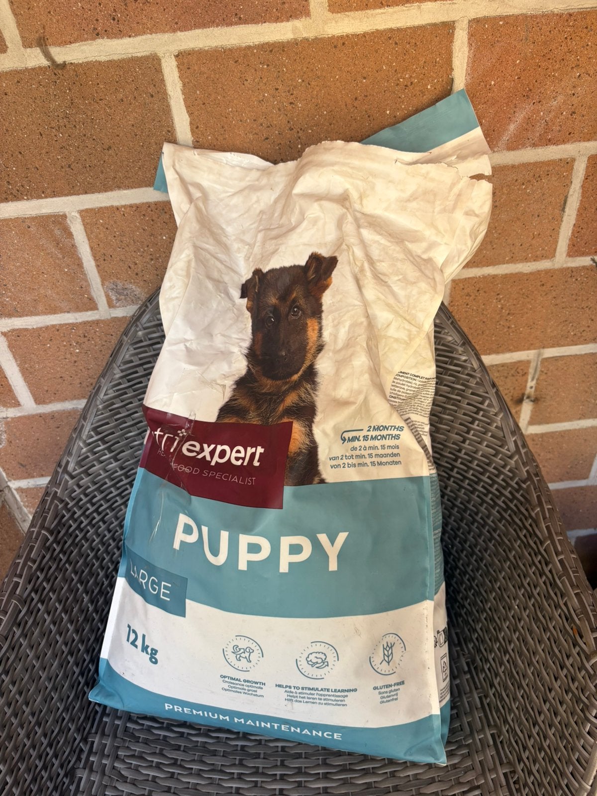 Gratis op te halen, Dieren en Toebehoren, Ophalen, Hond