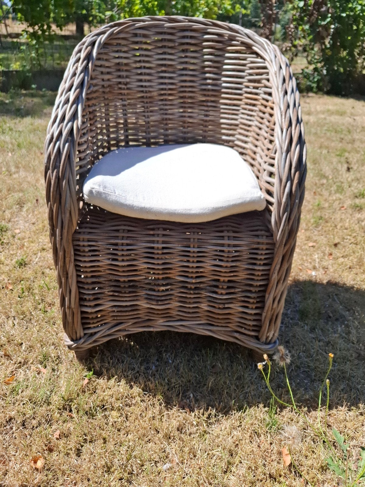 Rieten kinderzeteltje,  hoogte rugleuning 67cm, Ophalen, Zo goed als nieuw, Stoel(en)