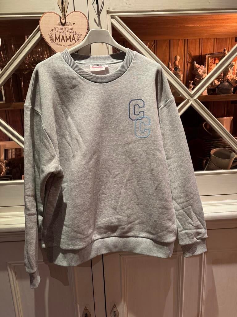 Camilie trui 14jaar, Kleding | Dames, Ophalen, Nieuw, Grijs