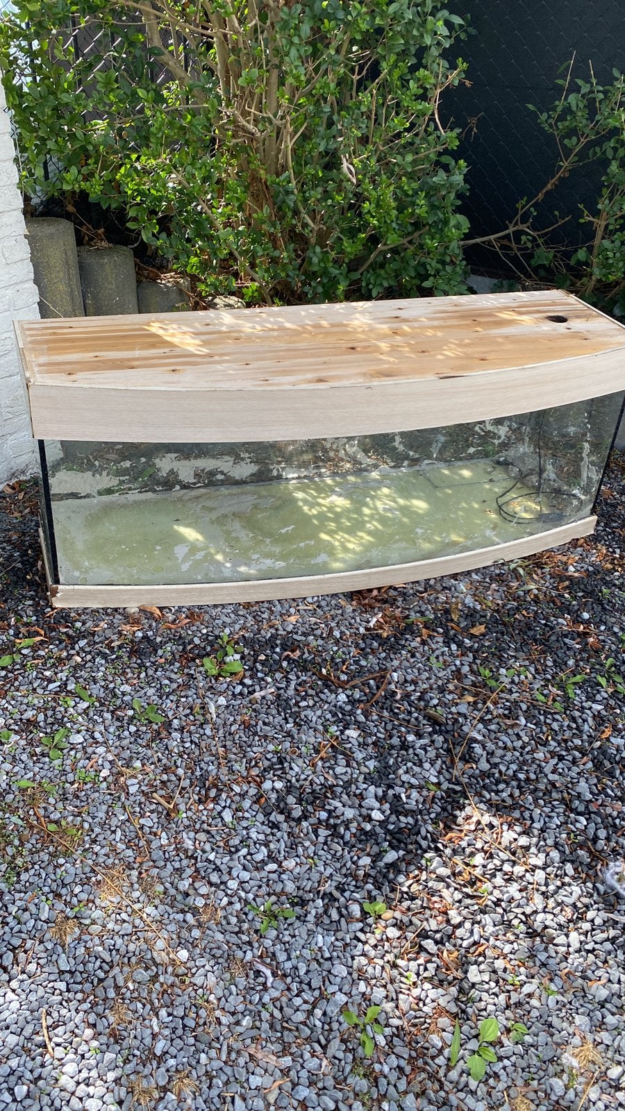 Aquarium, Animaux & Accessoires, Reptiles & Amphibiens | Accessoires, Enlèvement, Utilisé