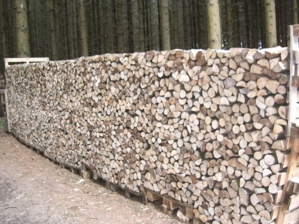 Bois de chauffage 33cm ,, Enlèvement, Bouleau, Bûches