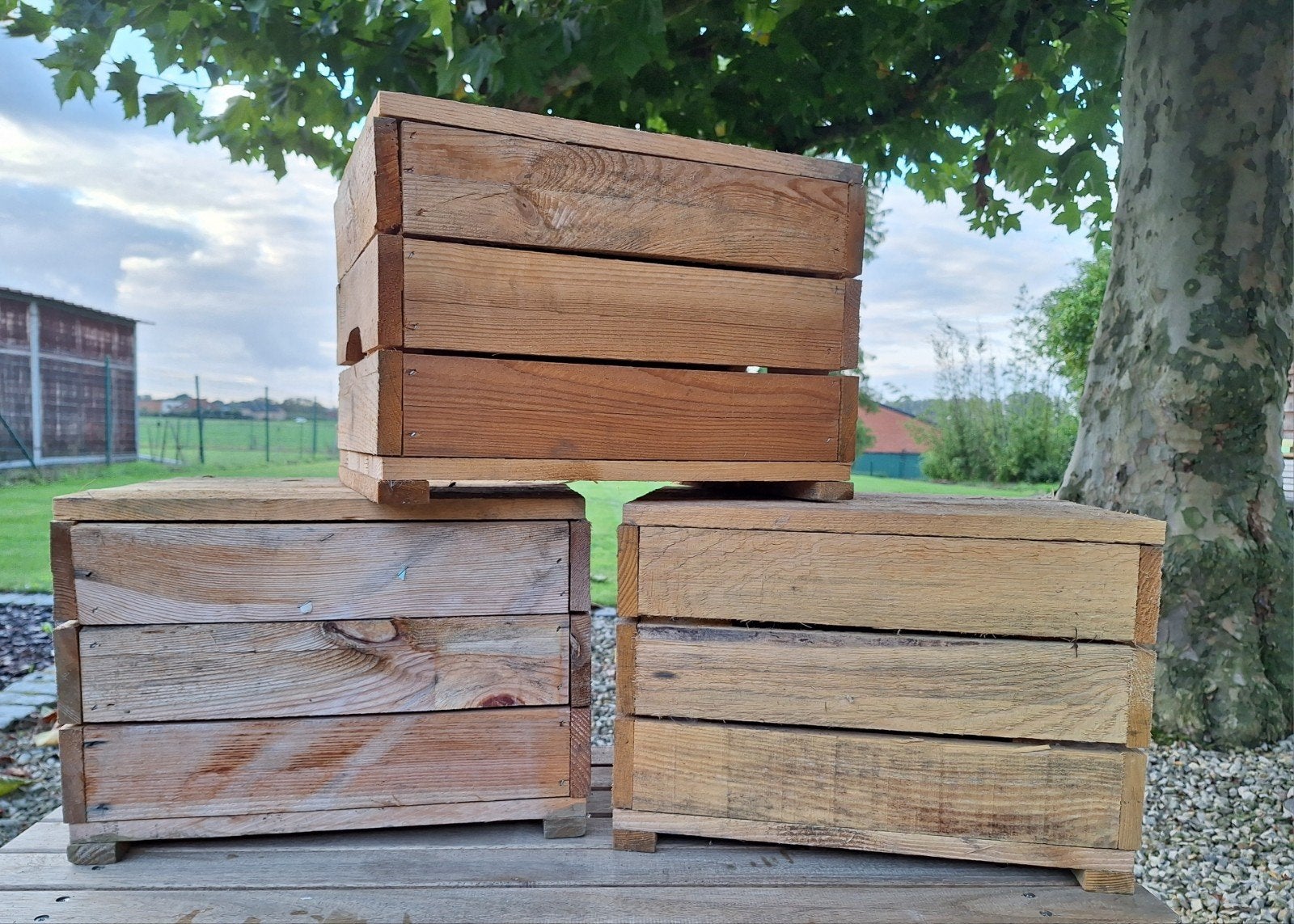 25 houten bakjes met deksel 30x28,5x40, Ophalen, Gebruikt, Minder dan 35 cm, Minder dan 50 cm