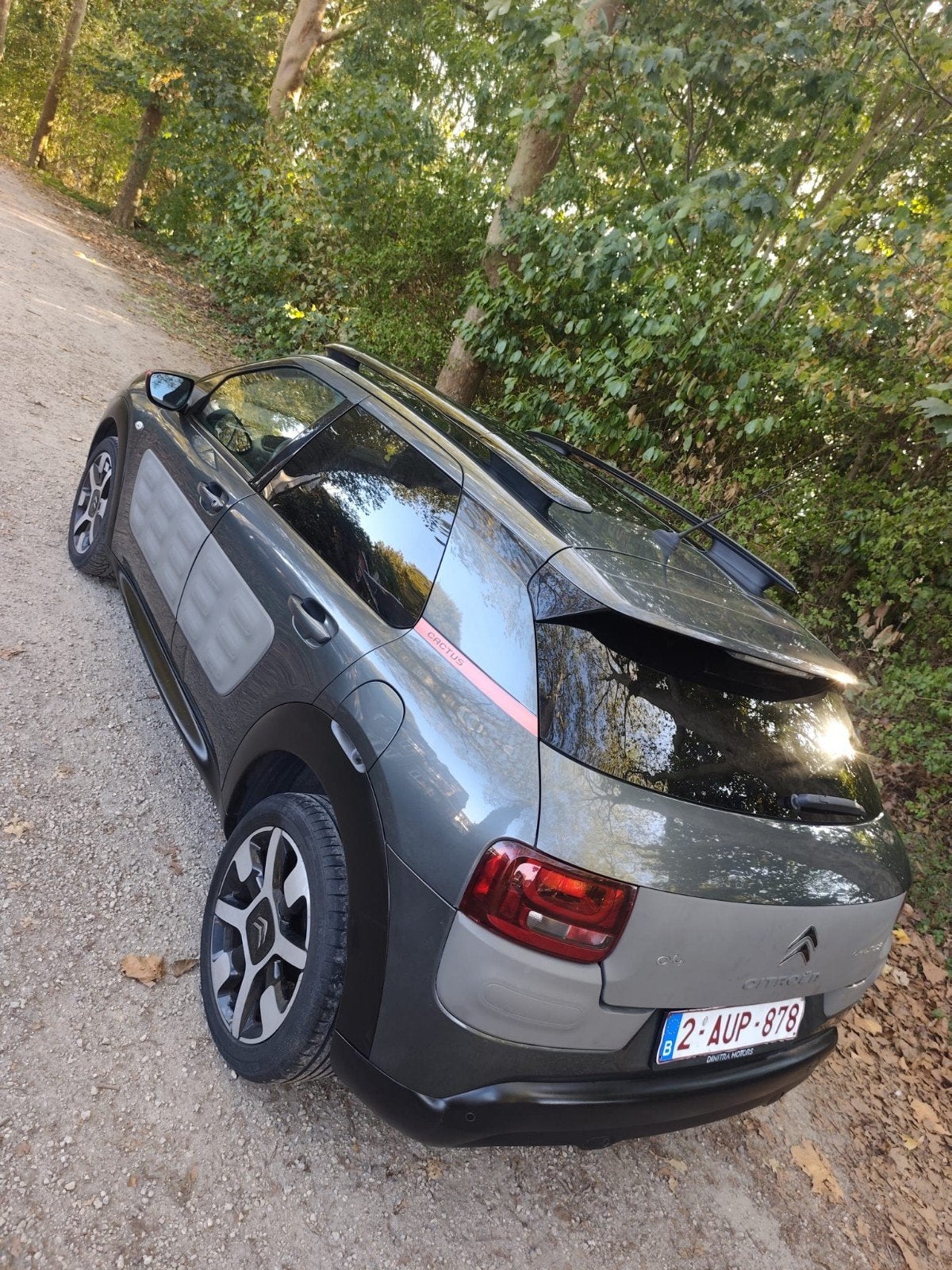 Citroën c4 cactus, Auto's, Automaat, 5 deurs, Particulier, C4