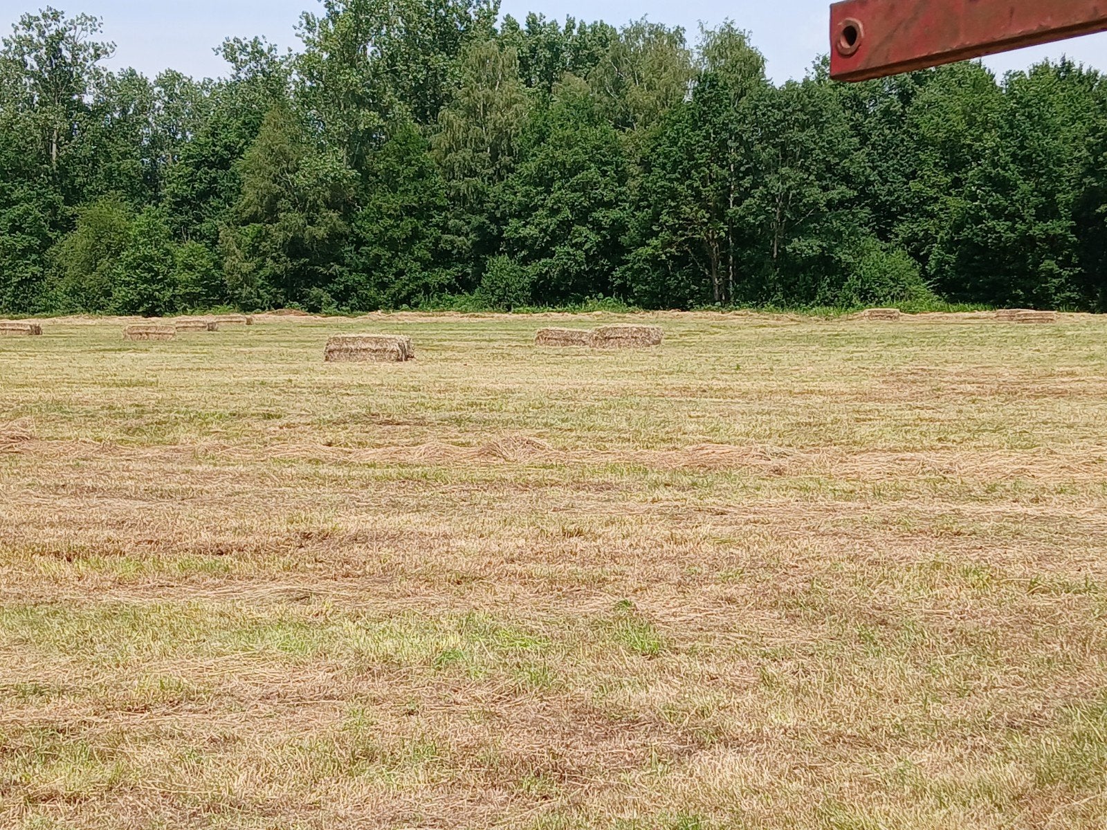 Gote balen hooi 120 70 200 enkel vandaag, Dieren en Toebehoren, Ophalen