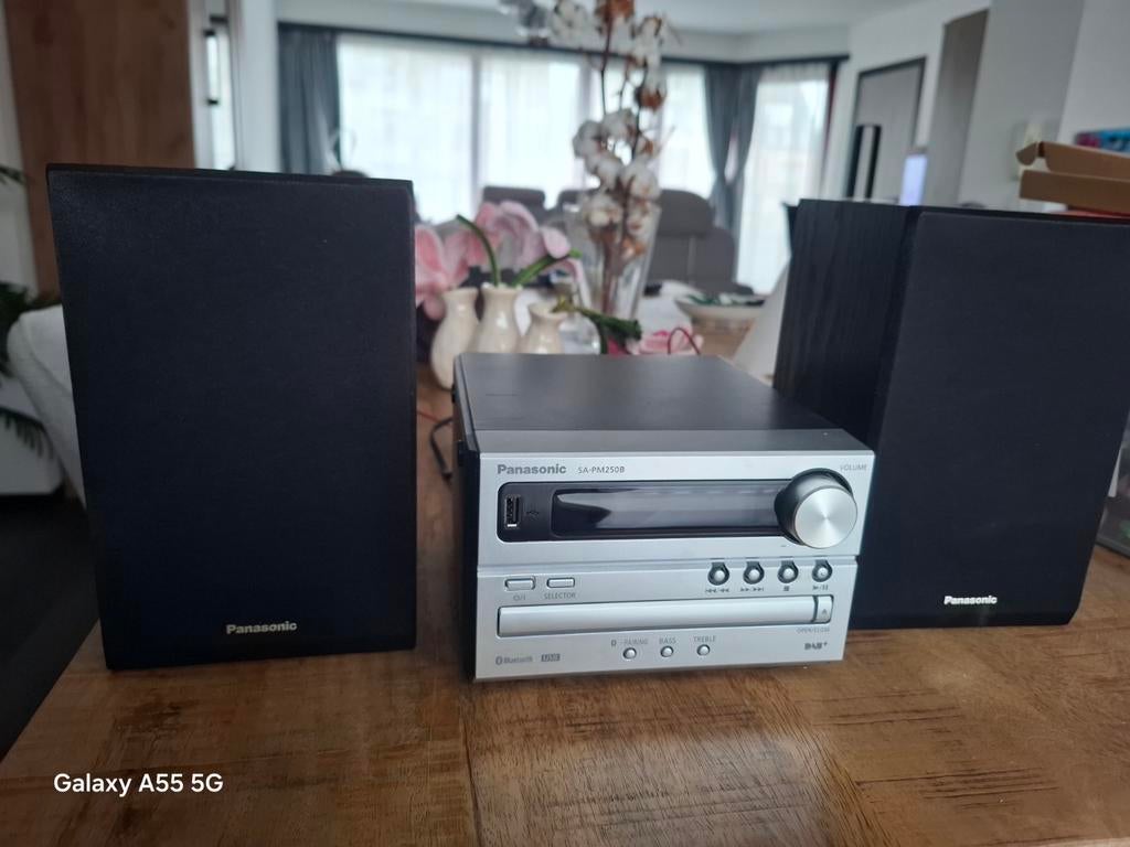 Micro chaîne Hi-Fi Panasonic, Enlèvement, Radio