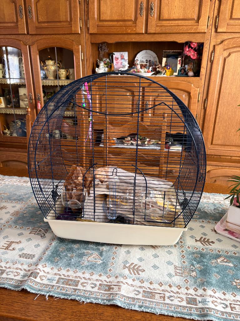 Belle Cage oiseau plus petits accessoires, Enlèvement, Utilisé, Métal, Cage à oiseaux
