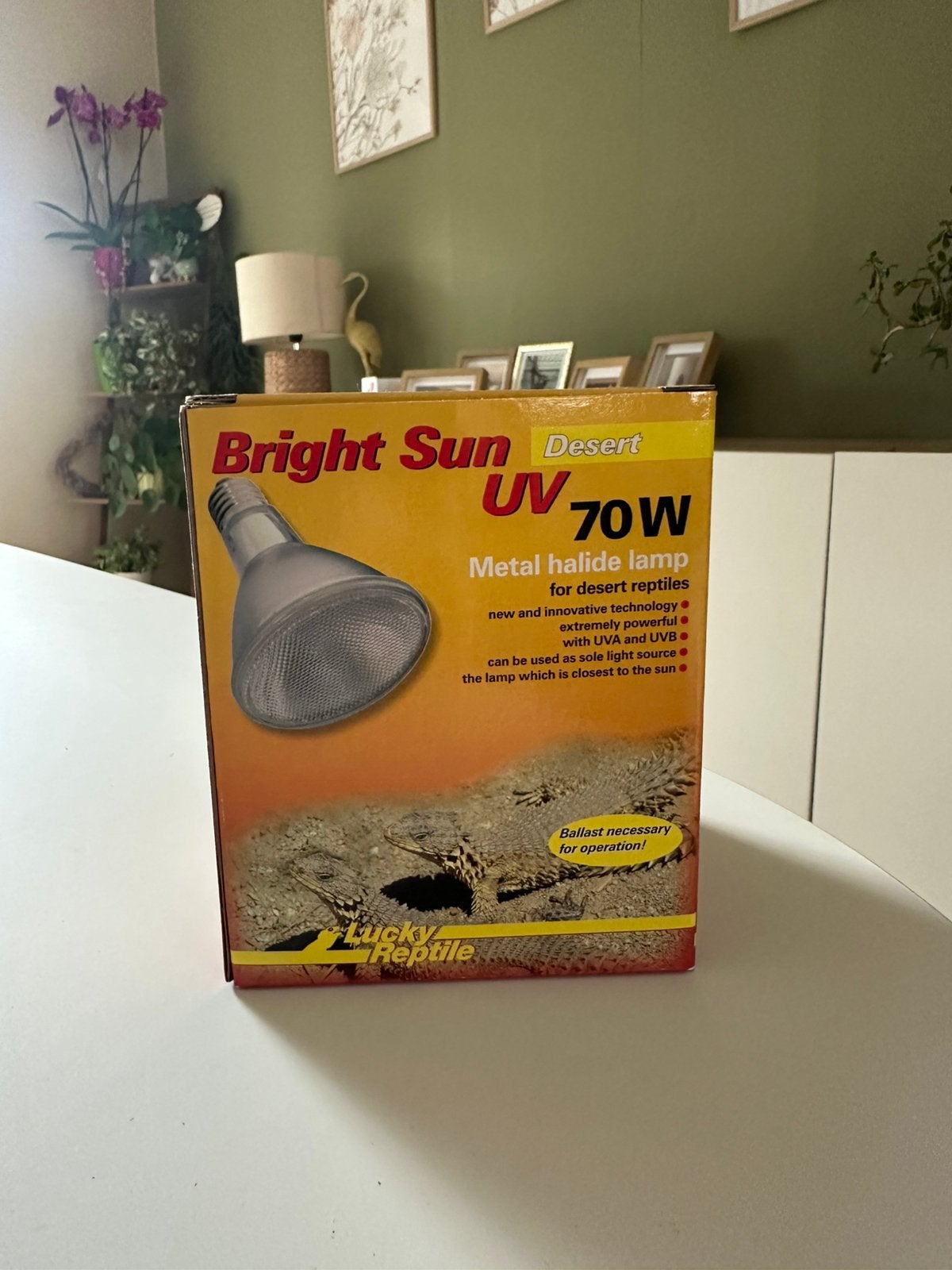 Lucky Reptile Set Bright Sun UV Desert 70W, Enlèvement, Comme neuf